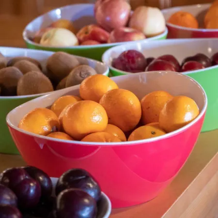 히스토리셰스 알파인호텔 호텔