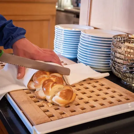 히스토리셰스 알파인호텔 4*