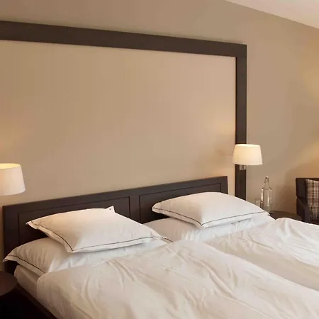 מלון Historisches Alpinhotel גרימזל הוספיץ