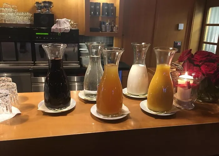 호텔 히스토리셰스 알파인호텔 그림젤 호스피츠